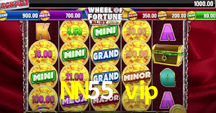 Programa VIP NN55 vip