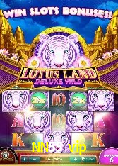 API Integration NN55 vip